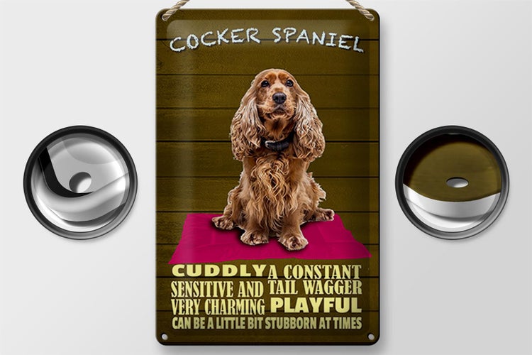 Blechschild Spruch 20x30cm Cocker Spaniel Hund cuddly