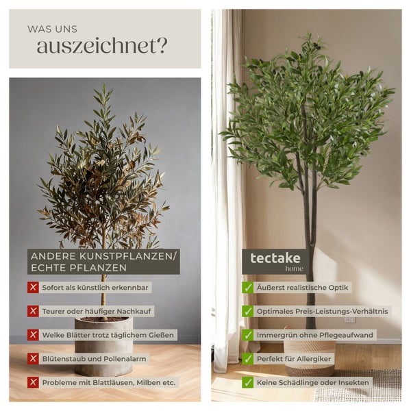 Vergleichsgrafik zwischen herkömmlichen Pflanzen und einer realistischen künstlichen Olivenbaum Kunstpflanze von Tectake Home.