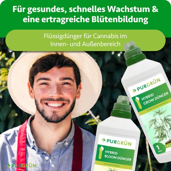 Ein lächelnder Mann mit Strohhut neben zwei Flaschen Purgrün Hybrid Grow und Bloom Flüssigdünger für Cannabis. Purgrün Logo.