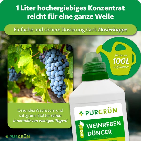 Purgrün Weinrebendünger Konzentrat 1 Liter Flasche mit Dosierkappe für bis zu 100 Liter Gießwasser für kräftiges Wachstum und gesunde Weinreben.