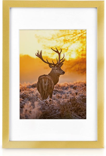Wandbild mit einem Hirsch im Sonnenaufgang, gerahmt in einem goldfarbenen Bilderrahmen mit Passepartout.