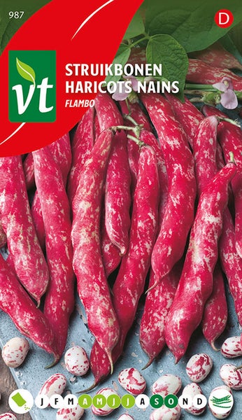 Strauchbohnen Flambo Samenpackung