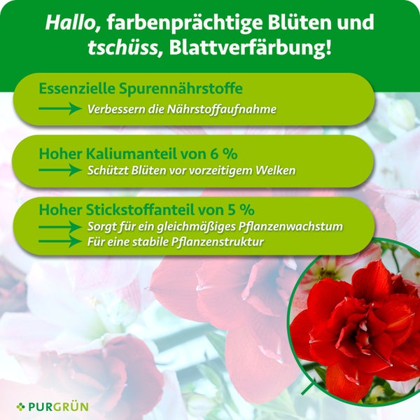 Infografik zum Purgrün Pflanzendünger mit Hinweisen zu Spurennährstoffen, Kalium und Stickstoff für gesundes Pflanzenwachstum.