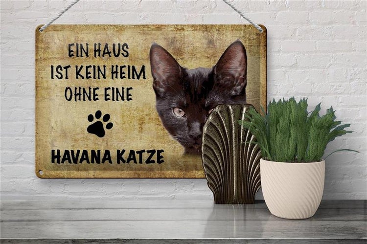 Blechschild Spruch 30x20cm Havana Katze ohne kein Heim