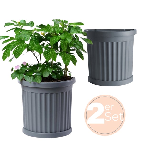 Zweiteiliges Blumentopfset mit Pflanze