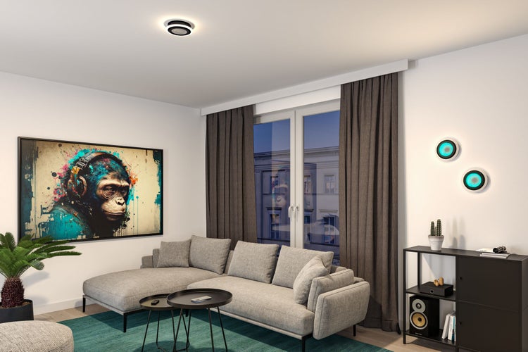 Organisiertes Wohnzimmer mit grauem Ecksofa, dunklen Vorhängen, blaugrünem Teppich und runden LED-Leuchten an Wand und Decke.