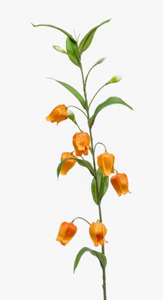Künstliche Fritillaria mit zwei orangen glockenförmigen Blüten und einem grünen Blatt an einem Stiel.
