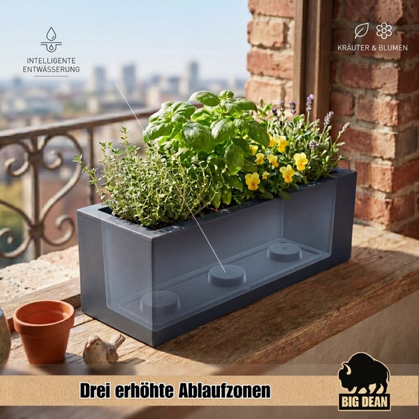 Rechteckiger Blumenkasten mit intelligenter Entwässerung und drei erhöhten Ablaufzonen für Kräuter und Blumen auf einem Fensterbrett.