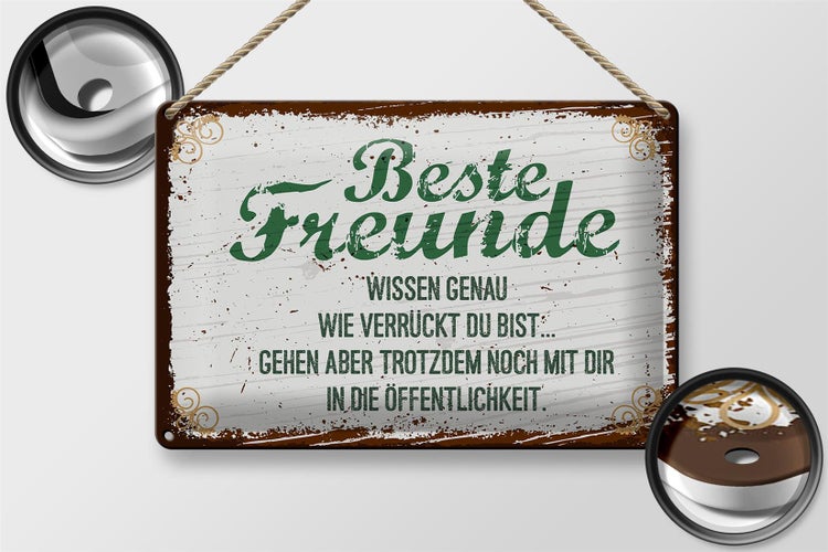 Blechschild Spruch 30x20cm Beste Freunde wissen grün braun