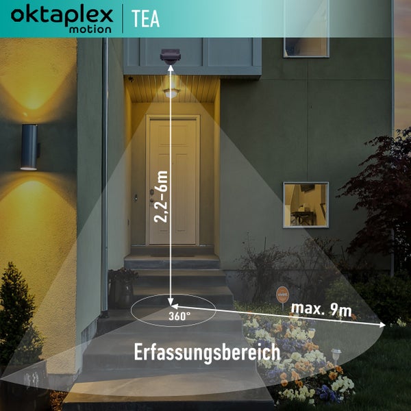 Oktaplex Tea Bewegungsmelder 360 Grad anthrazit inkl. Fernbedienung IP65 schwenkbar für Wand / Decke