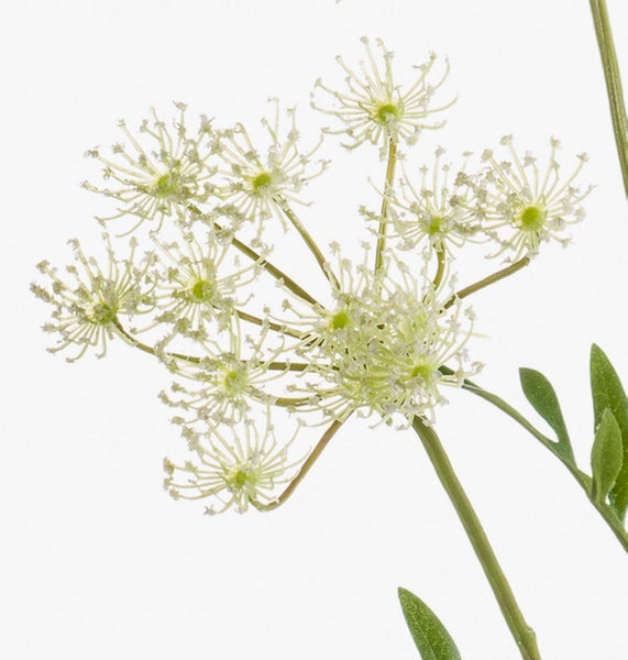 Nahaufnahme von grünen gefiederten Blättern und Stielen einer Kunstblume.