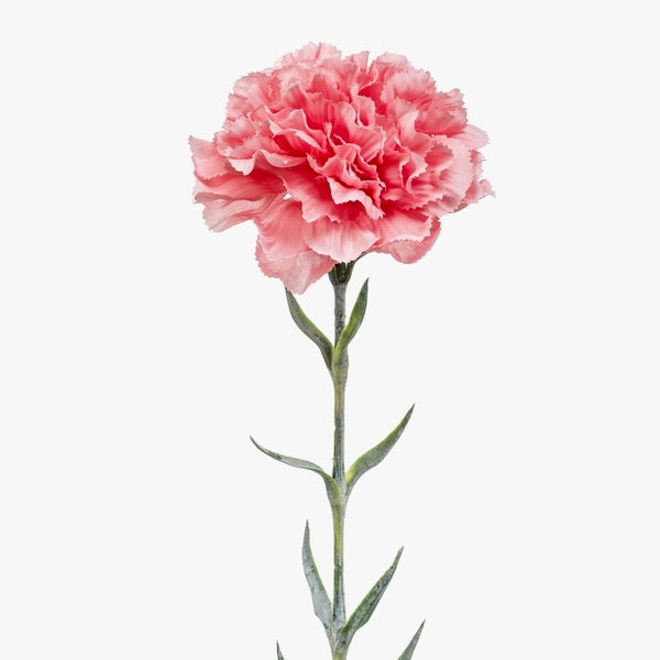 Künstliche Nelke mit rosafarbener Blüte und grünem Stiel.