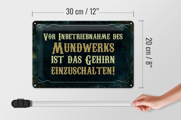 Blechschild Spruch 30x20cm vor Inbetriebnahme des Mundwerks