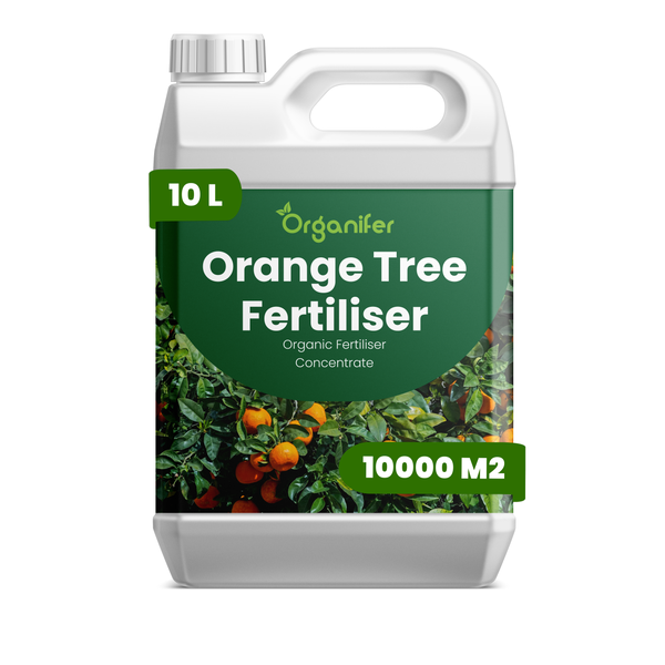 Organifer Orangenbaum-Dünger, organisches Düngerkonzentrat, 10 Liter für 10000 Quadratmeter.
