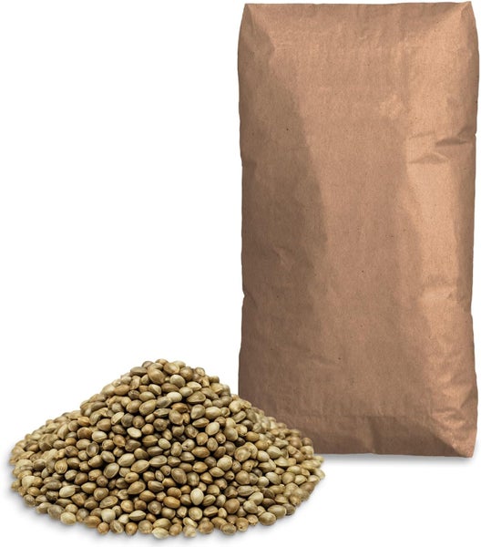 Hanfsamen neben einem Papiersack