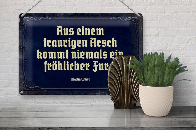 Blechschild Spruch 30x20cm aus einem traurigen Arsch kommt