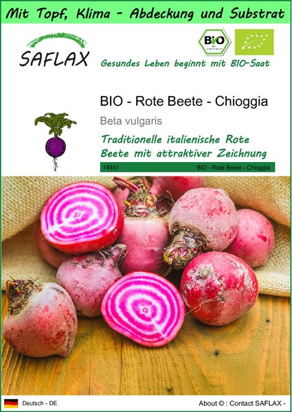 SAFLAX Garden to go - BIO - Rote Beete - Chioggia - Beta vulgaris - 70 Samen - Mit Topf, Klima - Deckel und Anzuchtsubstrat