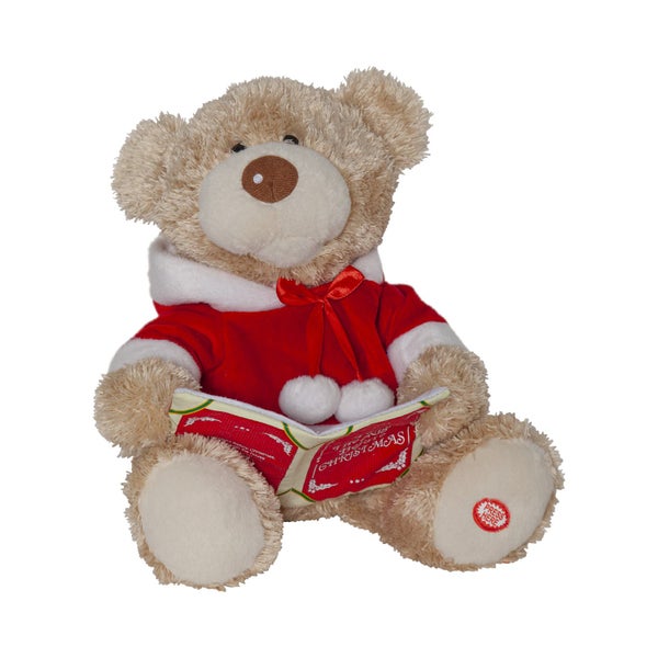 Teddybär mit Weihnachtskostüm und Buch