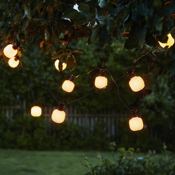 Lichterkette mit leuchtenden Glühbirnen, die an einem Baum hängen und eine gemütliche Atmosphäre schaffen