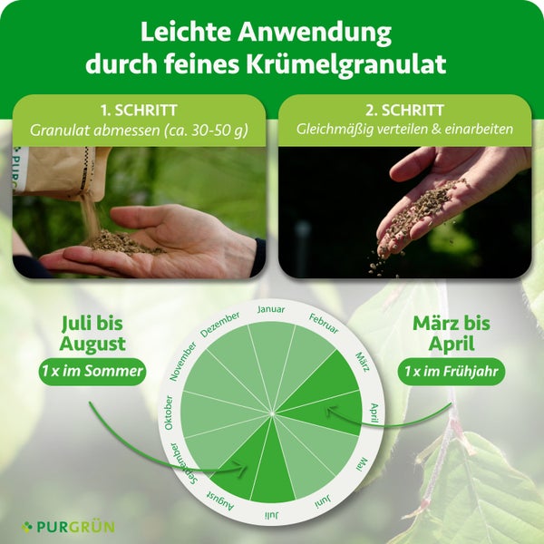 Infografik für Purgrün Dünger: Granulat abmessen und verteilen. Anwendungskalender für März bis April und Juli bis August. Purgrün Logo.