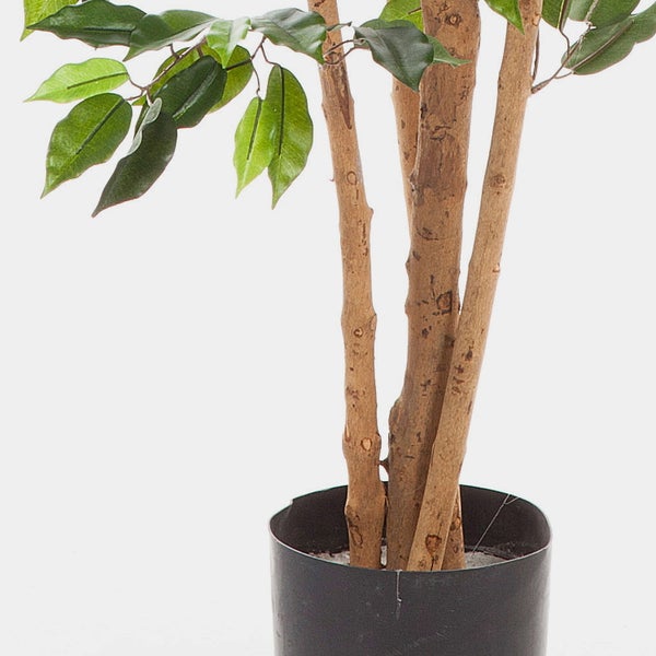 Künstliche Pflanze im schwarzen Topf mit realistischen braunen Stämmen und grünen Blättern.