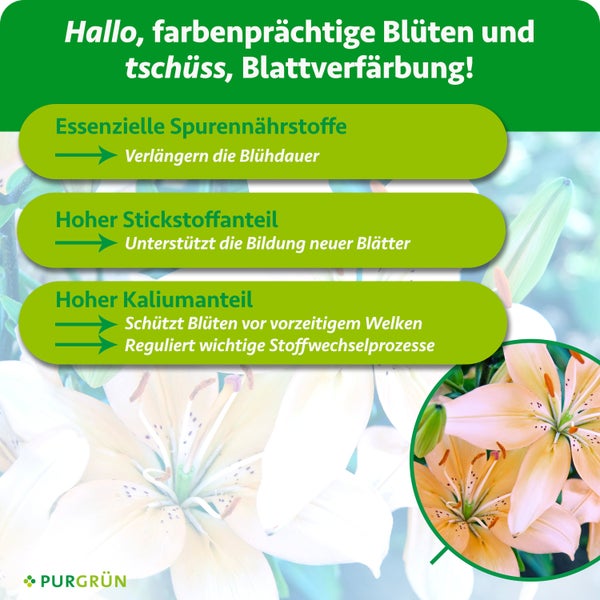 Tischleuchte mit Papierlampenschirm und Holzfuß