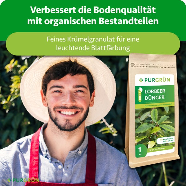 Helles Bild eines lächelnden Gärtners mit Hut und Purgrün Logo neben biologischem Lorbeerdünger Granulat für Bodenqualität und Blattfarbe.