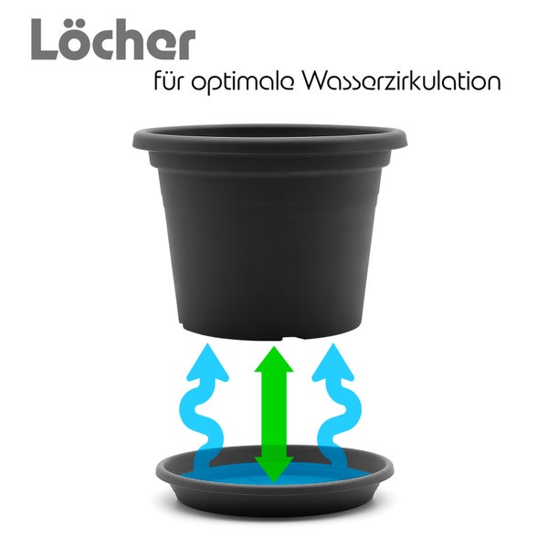 Kunststoff Pflanztopf mit Untersetzer und Löchern für optimale Wasserzirkulation