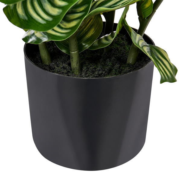 Künstliche Calathea Kunstpflanze in einem runden Übertopf mit dekorativ gemusterten Blättern.