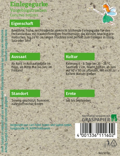 Rückseite der Samenpackung für Einlegegurke Vorgebirgstrauben mit Informationen zu Aussaat, Standort und Ernte auf nachhaltigem Graspapier.