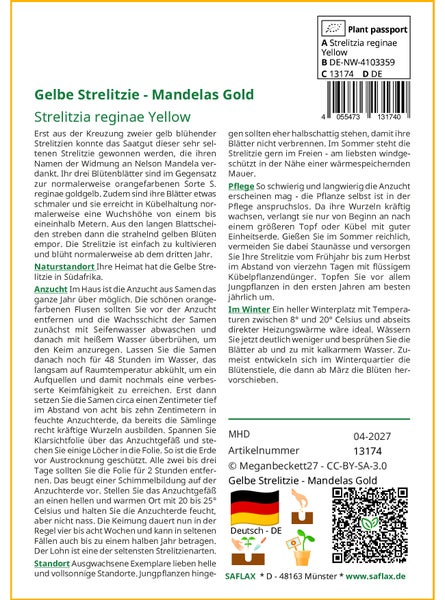 SAFLAX Garden to go - Gelbe Strelitzie - Mandelas Gold - Strelitzia reginae Yellow - 4 Samen - Mit Topf, Klima - Deckel und Anzuchtsubstrat