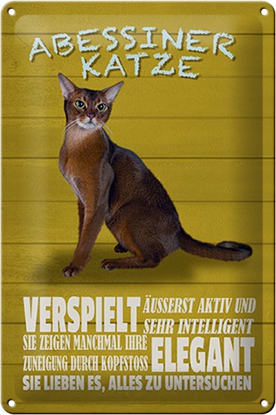 Blechschild Spruch 20x30cm Abyssiner Katze verspielt