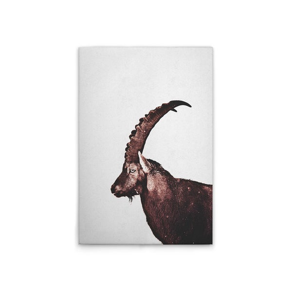 Dekoration Leinwandbild Steinbock Portrait