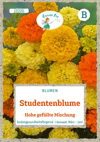 Samenpackung Studentenblume Hohe gefüllte Mischung von Grüne Fee Logo, bodengesundheitsfördernd, Aussaat März bis Juni.