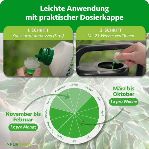 Anwendung: 5 Milliliter Konzentrat mit 2 Liter Wasser mischen. Kalender: März bis Oktober wöchentlich, November bis Februar monatlich. Purgrün Logo.