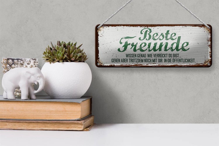 Blechschild Spruch Beste Freunde verrückt wissen genau 27x10cm