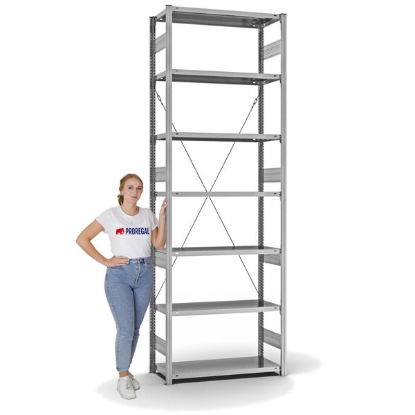 PROREGAL Fachbodenregal Stecksystem T-Profil Heavy-Duty Grundregal HxBxT 300 x 100 x 40 cm 7 Ebenen Fachlast 315 kg Einseitig Nutzbar Verzinkt