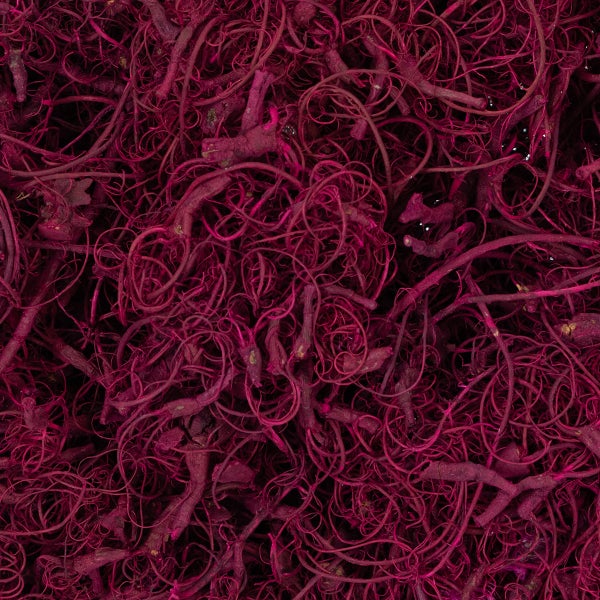 Pinkfarbene dekorative gelockte Reben für Floristik und Bastelarbeiten.