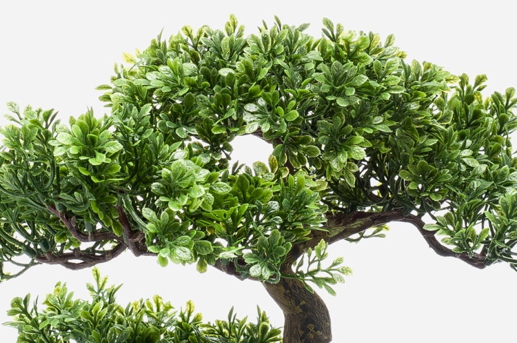 Detailaufnahme eines künstlichen Bonsais mit dichtem grünem Blattwerk und strukturiertem Stamm.