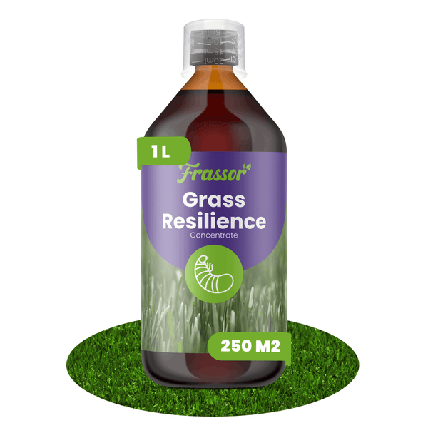 Frassor Grass Resilience Konzentrat, 1 Liter Flasche für 250 Quadratmeter Rasen, Pflanzenhilfsmittel zur Stärkung gegen Schädlinge.