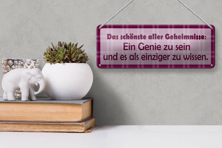 Blechschild Spruch 27x10cm Genie sein und es als einziger wissen