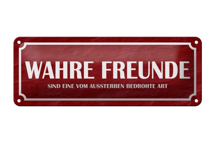 Blechschild Spruch 27x10cm wahre Freunde Dekoration