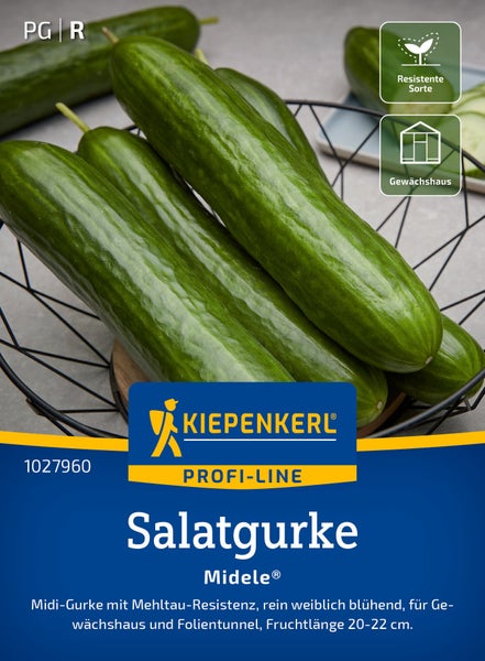 Kiepenkerl Profi-Line Saatgut Salatgurke Midele mit resistenter Sorte für Gewächshausanbau