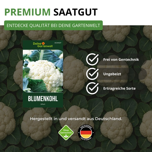 Deine Gartenwelt Logo, Premium-Saatgut Blumenkohl Erfurt, gentechnikfrei, ungebeizt, ertragreich, hergestellt in Deutschland.
