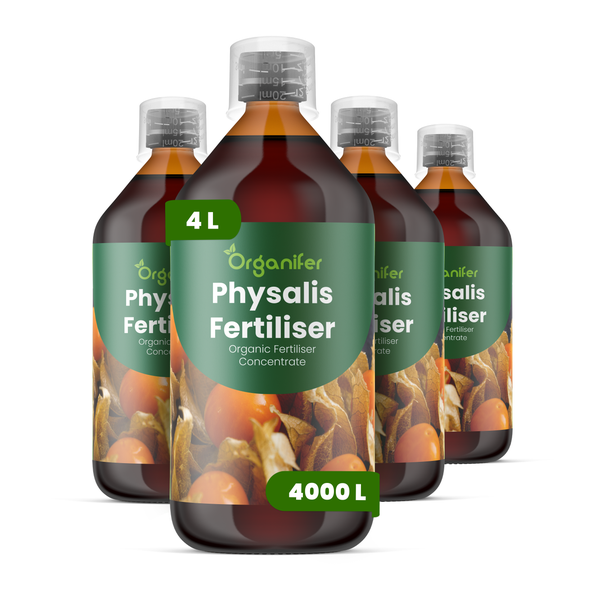 Organifer Physalis-Dünger, organisches Düngerkonzentrat, 4 Liter Set bestehend aus vier Flaschen mit Messkappe.
