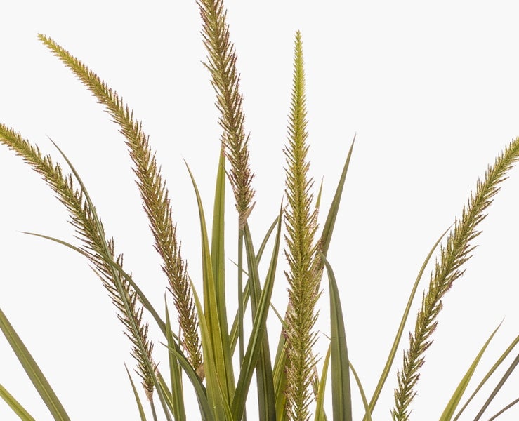 Nahaufnahme von künstlichen Grashalmen mit spitzen Enden in verschiedenen Grüntönen.