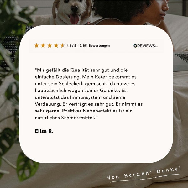 ALPHAZOO Hagebuttenpulver 500g für Hunde und Katzen I Vitamin C aus der Hagebutte