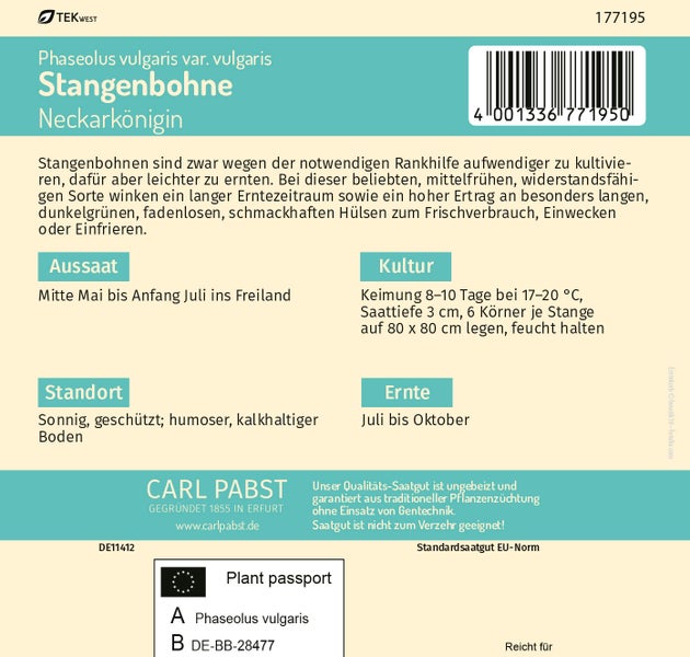 Rückseite der Saatgutpackung für Stangenbohne Neckarkönigin mit Anbauhinweisen, Carl Pabst Logo und Pflanzenpass.