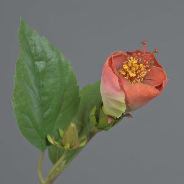 Künstlicher Hibiskuszweig mit pfirsichfarbener Blüte, Knospe und grünen Blättern.