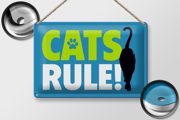 Blechschild Spruch 30x20cm cats rule Katze